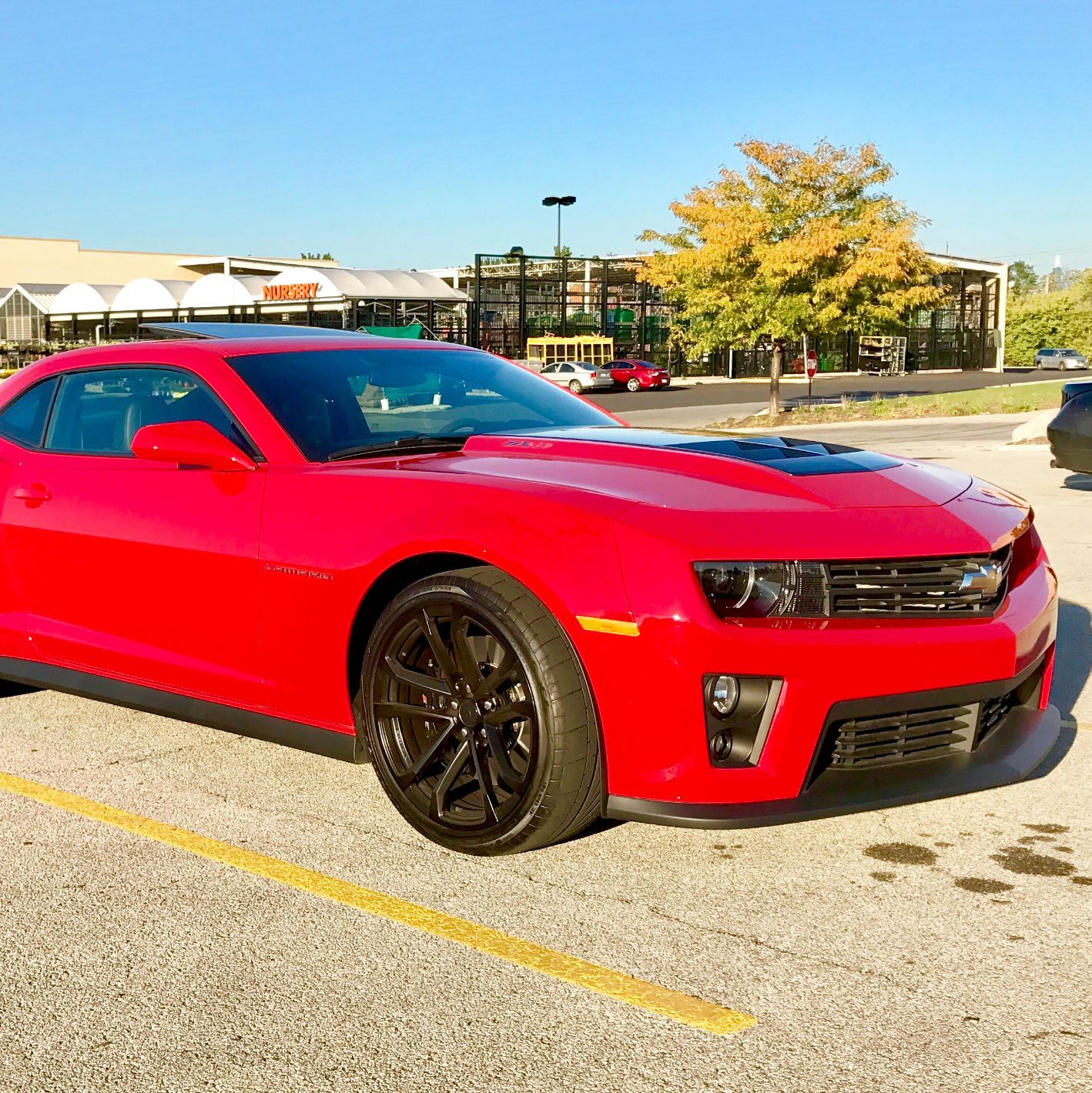 Profile of Michael Gutierrez