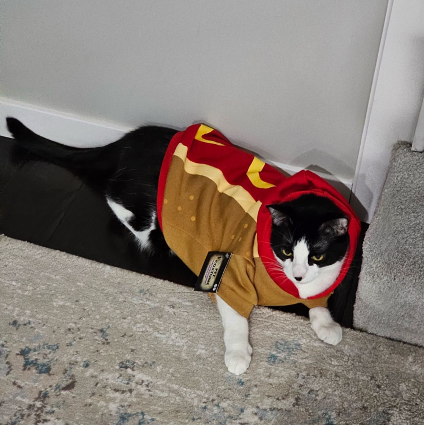 Profile of Rafal Wozniczka