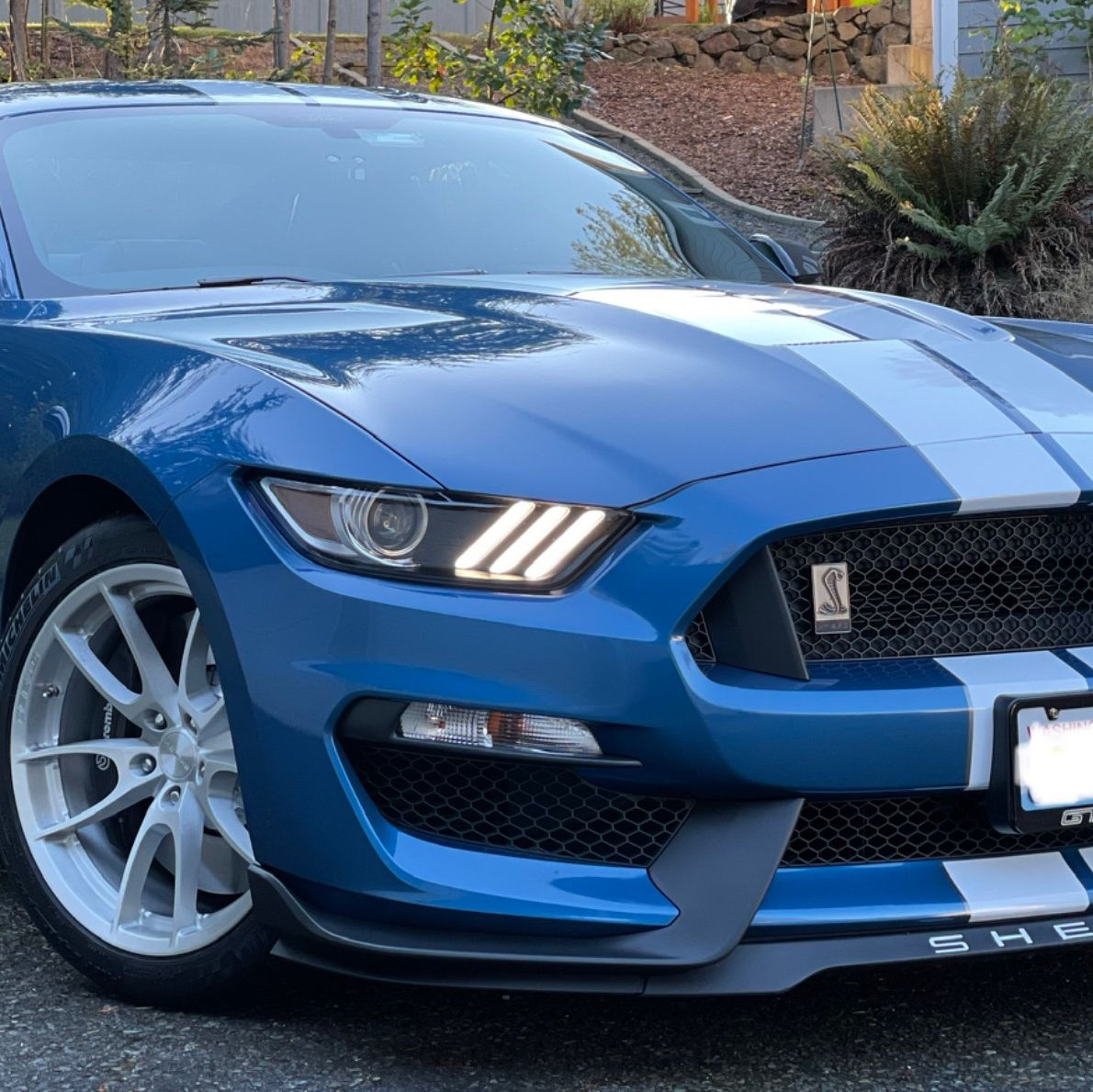 Profile of John Dattomo