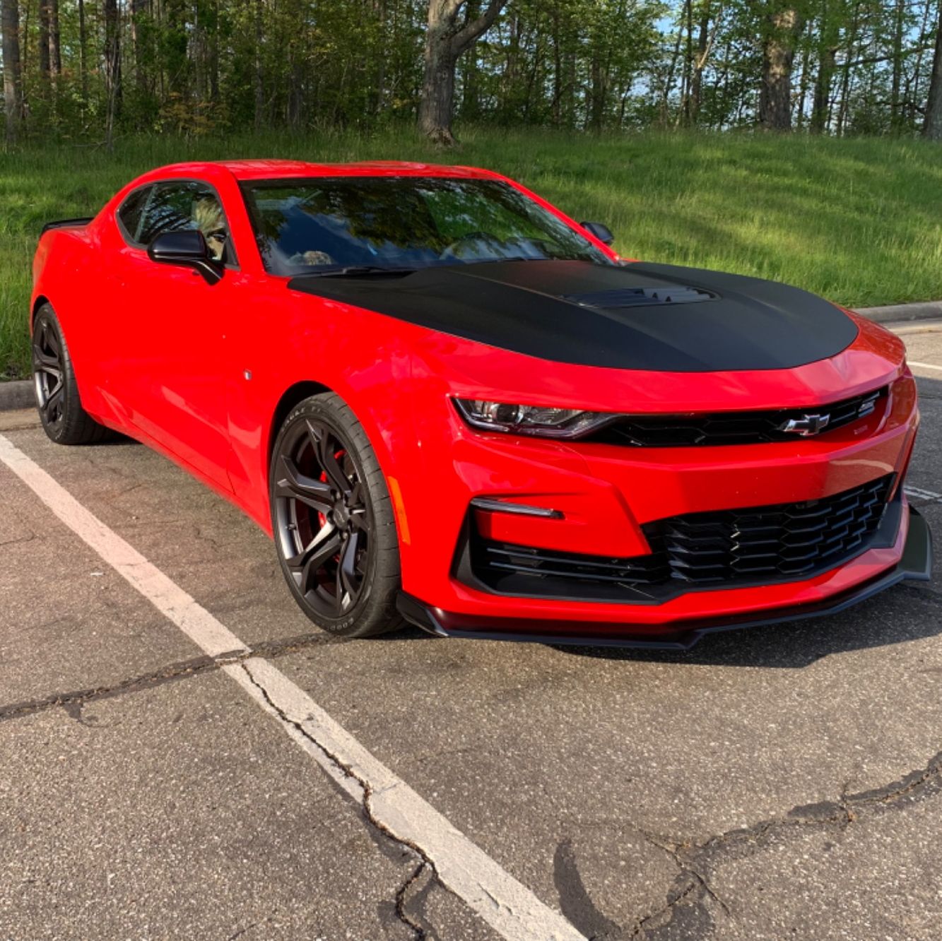 Profile of Thomas Lippert