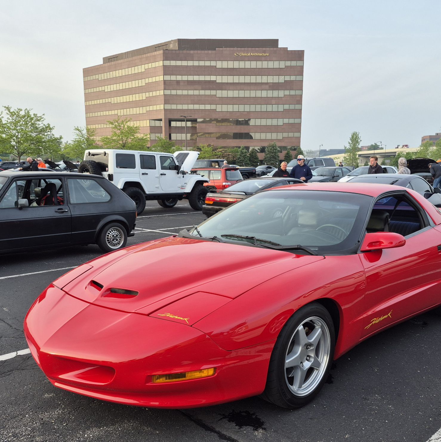 Profile of Jason Fields