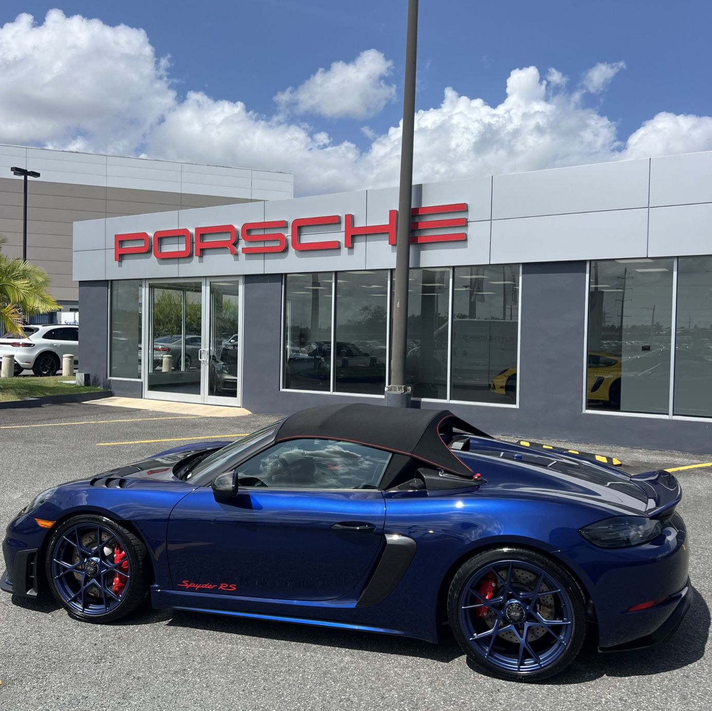 Profile of Luis Flecha