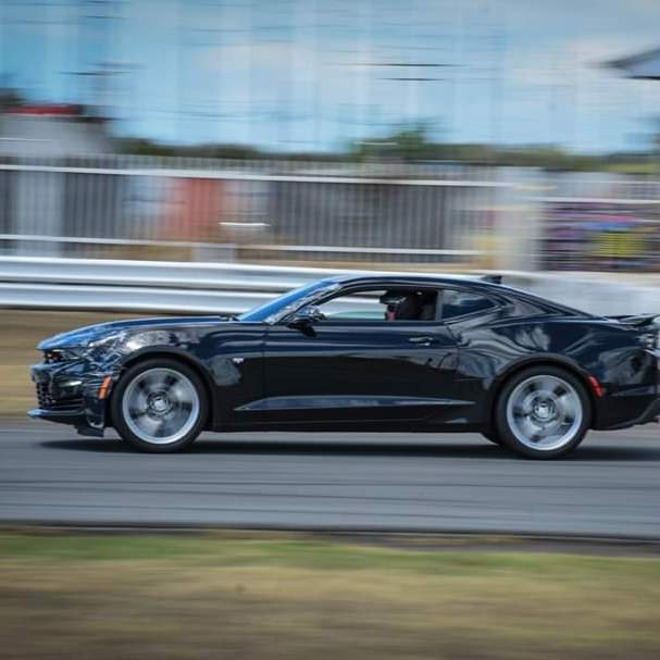 Profile of Arturo Pellerano