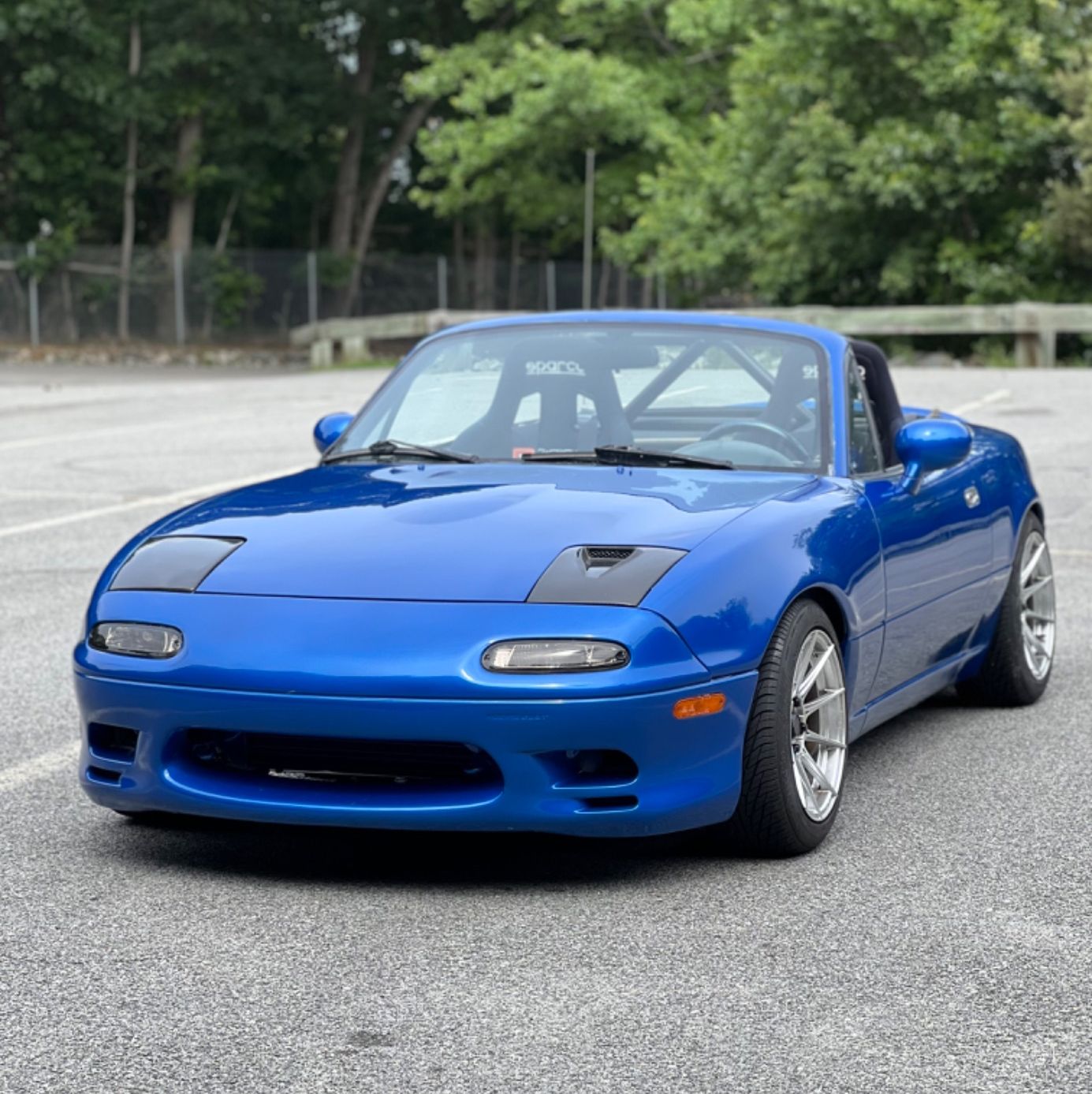 Profile of Skylar Ellison