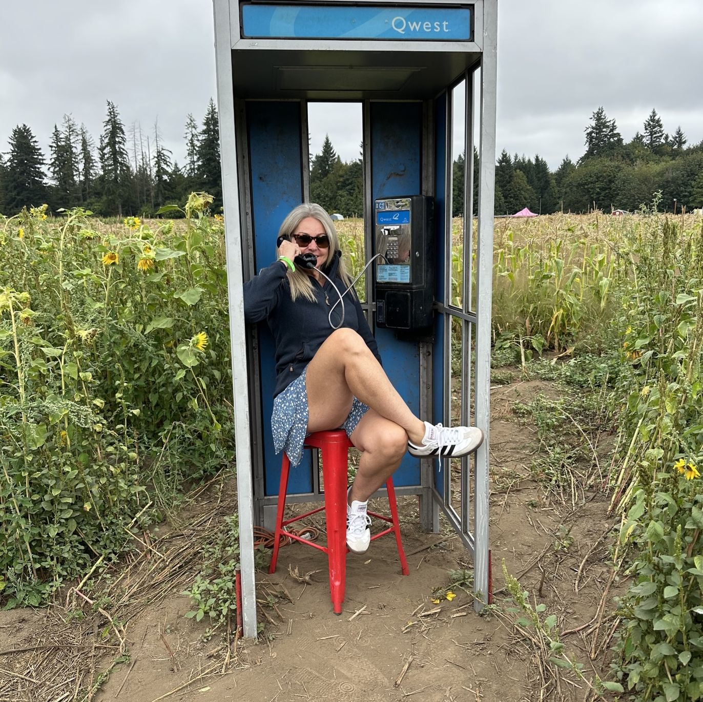 Profile of Andrea McDermott