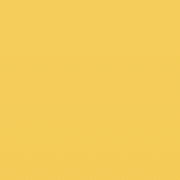 Profile of Yujia Chen