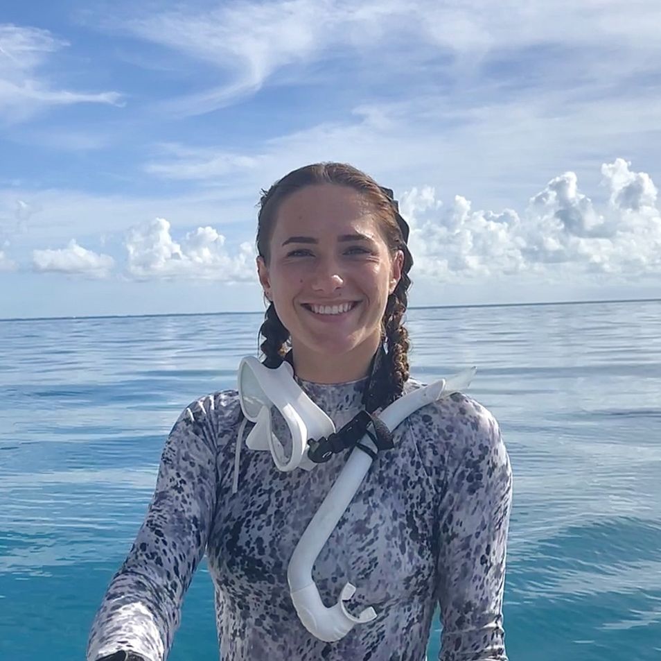 Profile of Taylor Brown