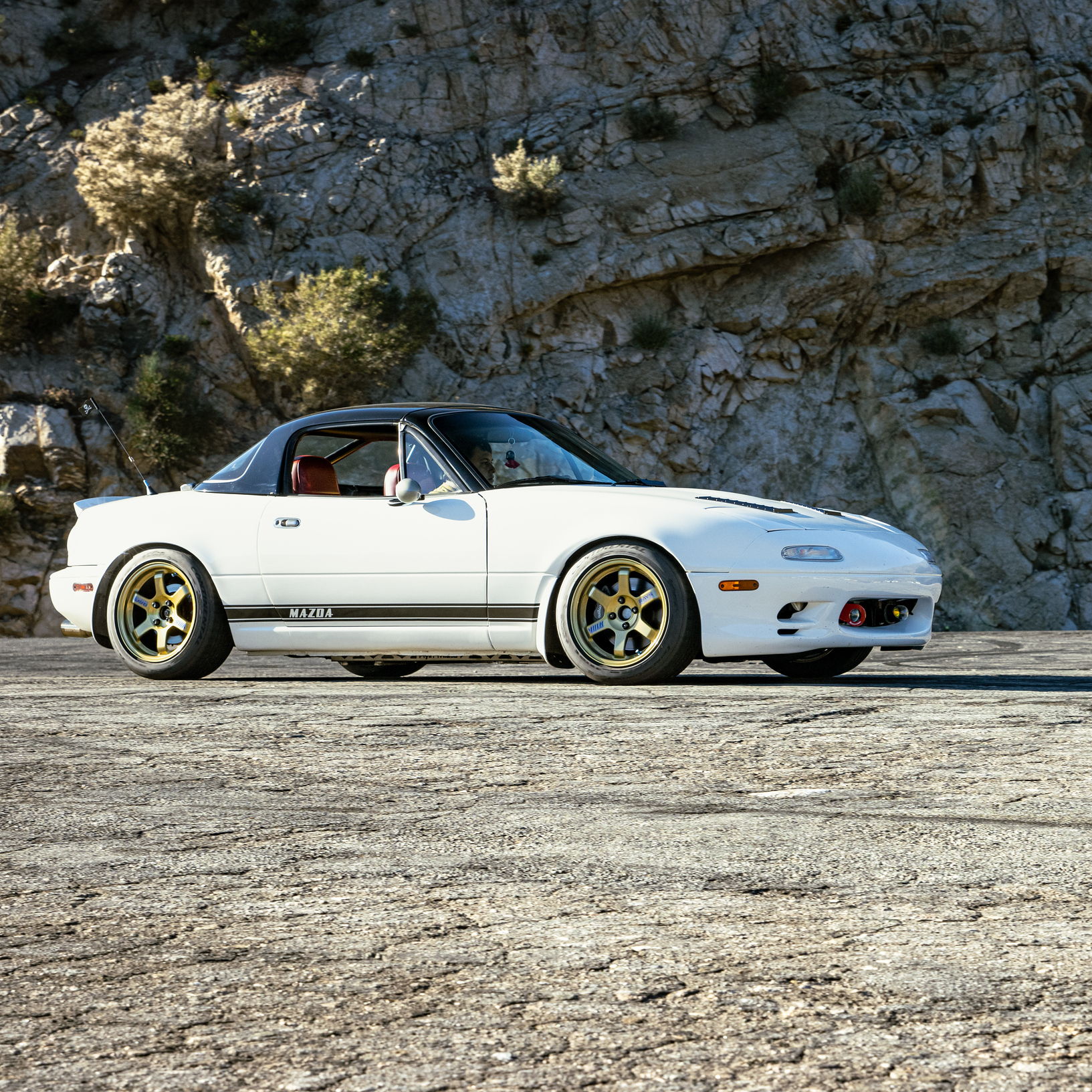 Profile of Jovany A Perrone