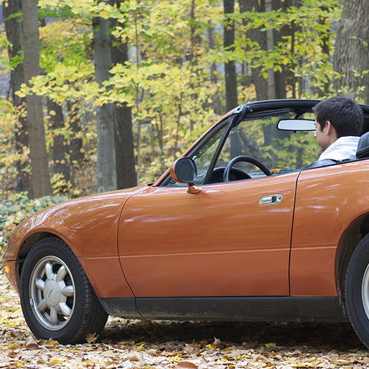 Profile of Max Schiebold