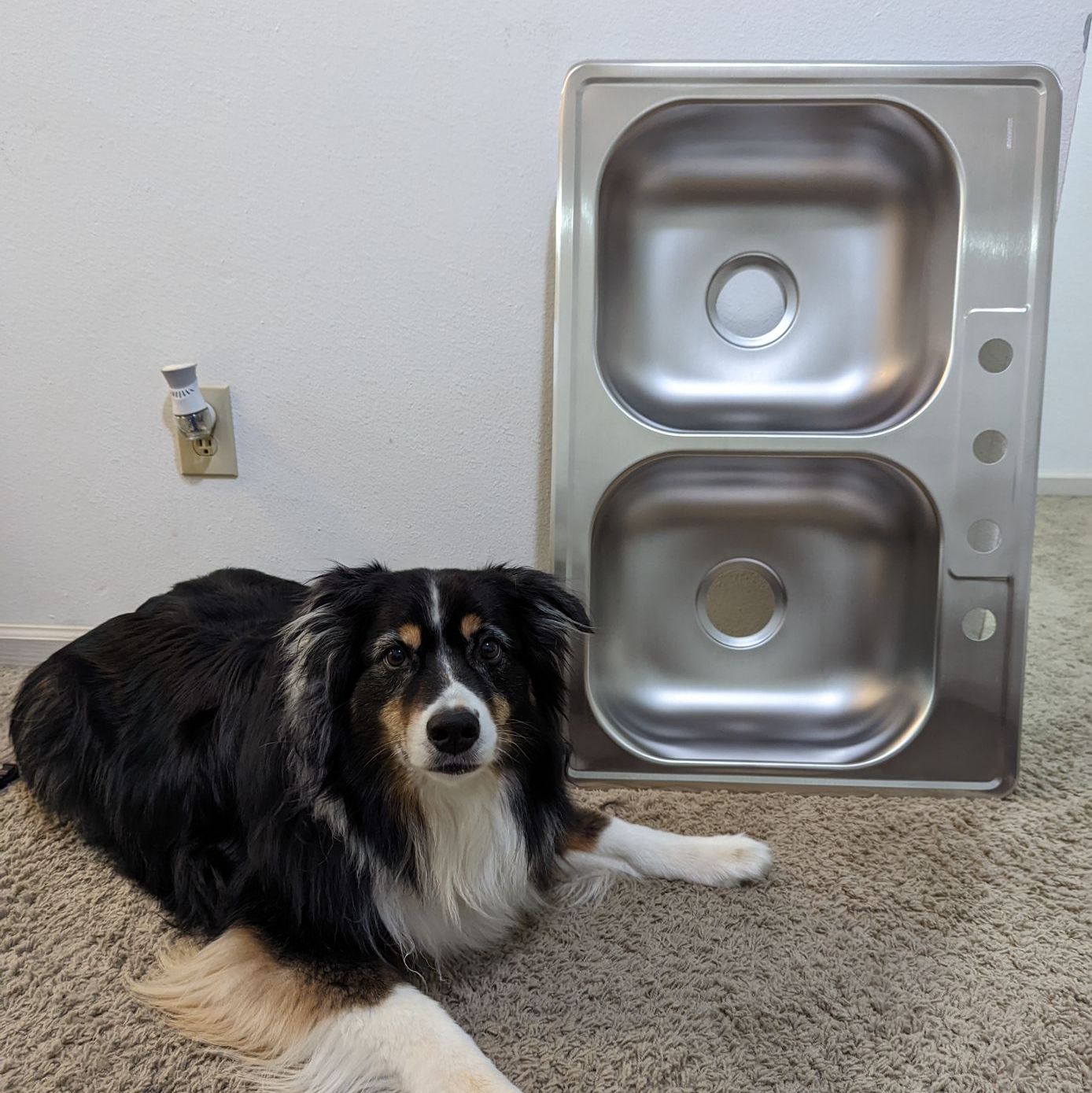 Profile of Chub Manual