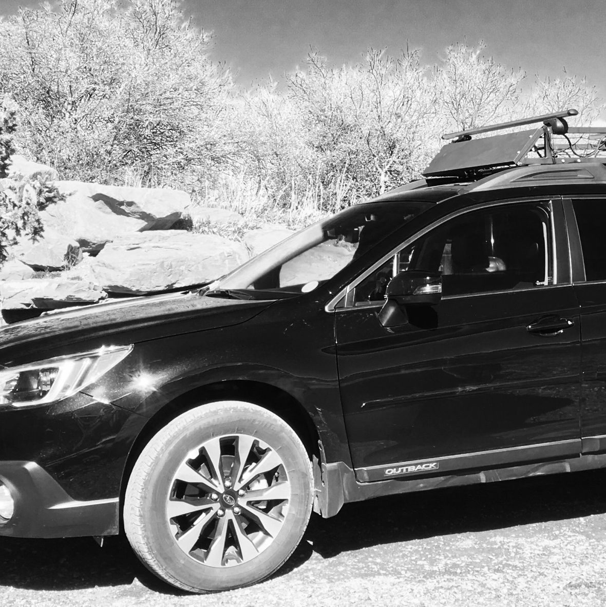 Profile of Lucas Baier