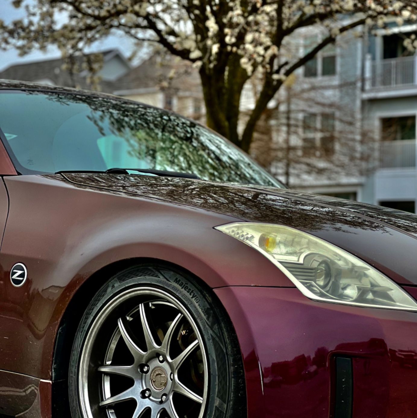 Profile of Aaron Yang