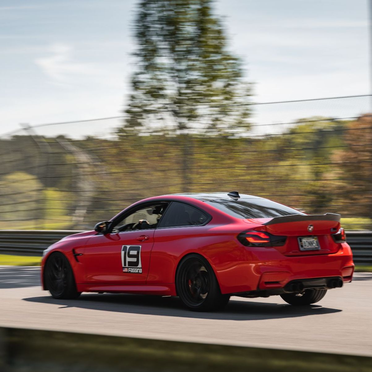 Profile of Shaun Fassina