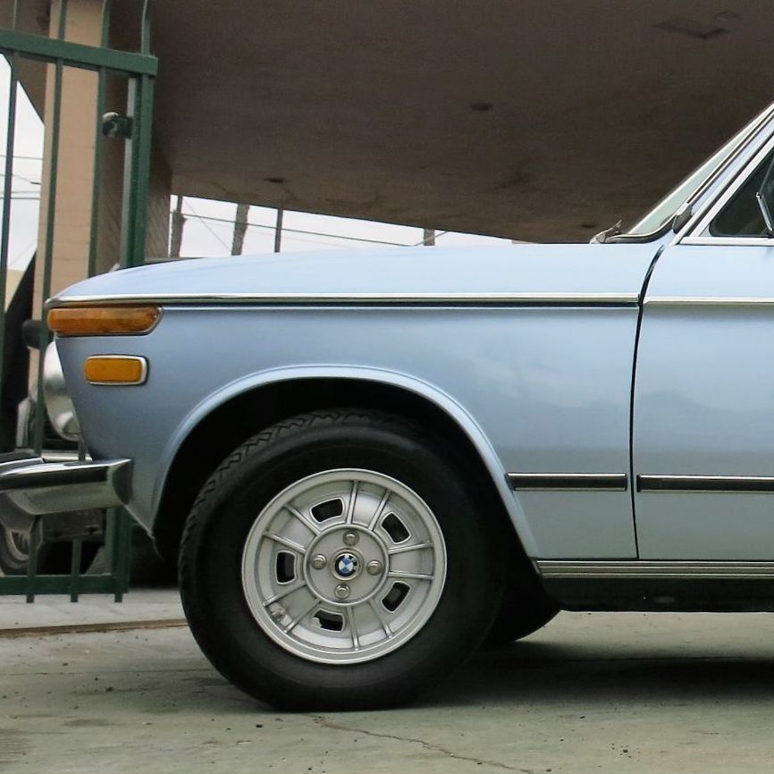 Profile of Cecelia Schellstede