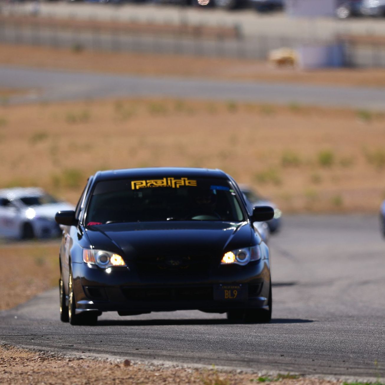 Profile of Will Anderson