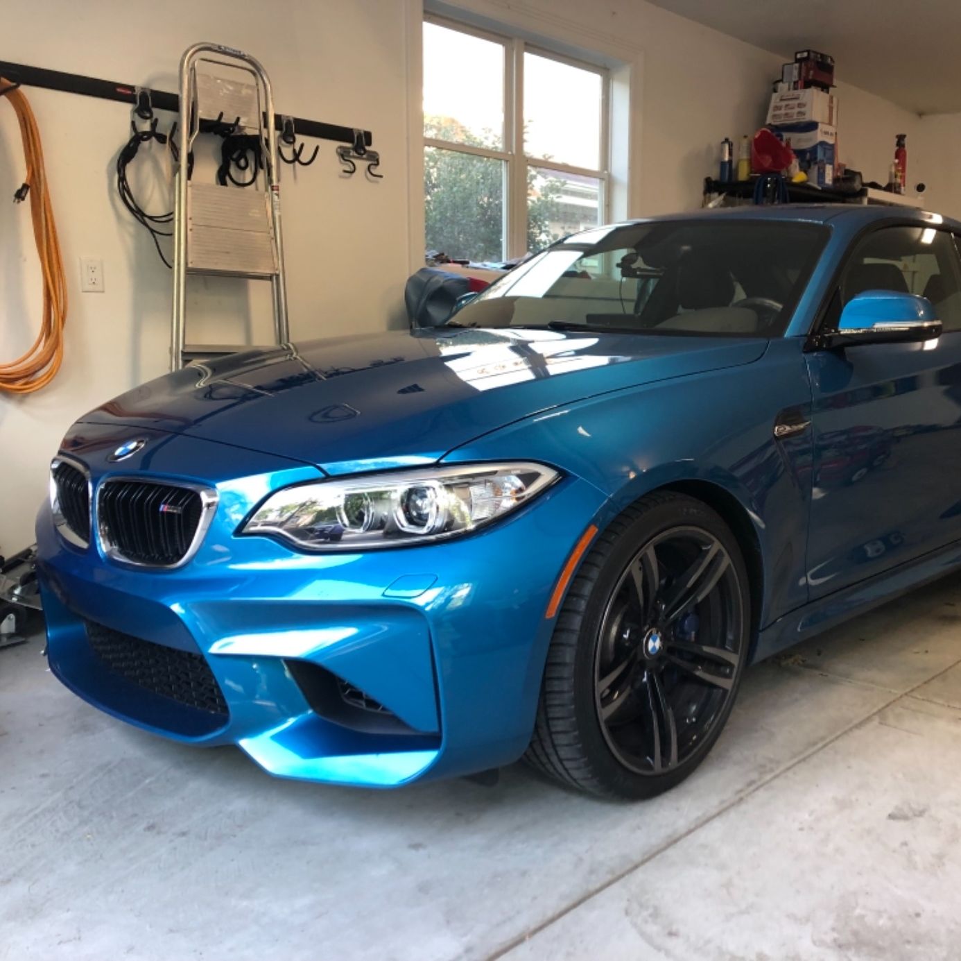 Profile of Dave Mihalovich