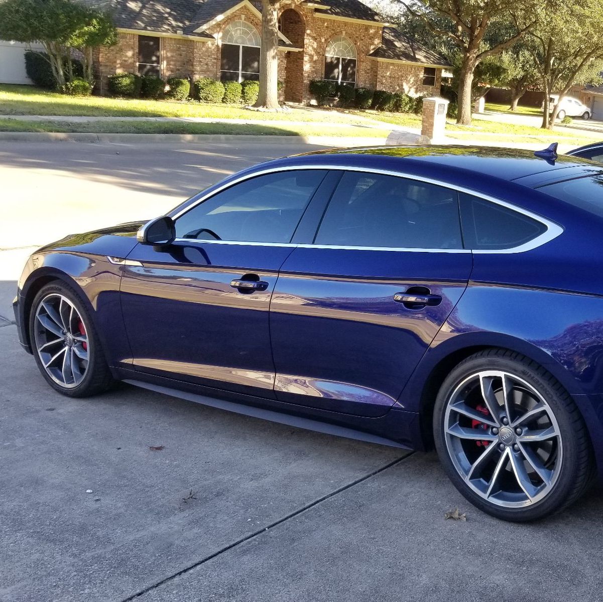 Profile of David Patrick