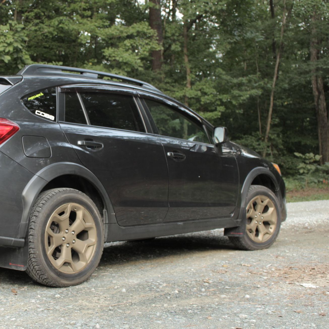 Profile of Adam Cocke