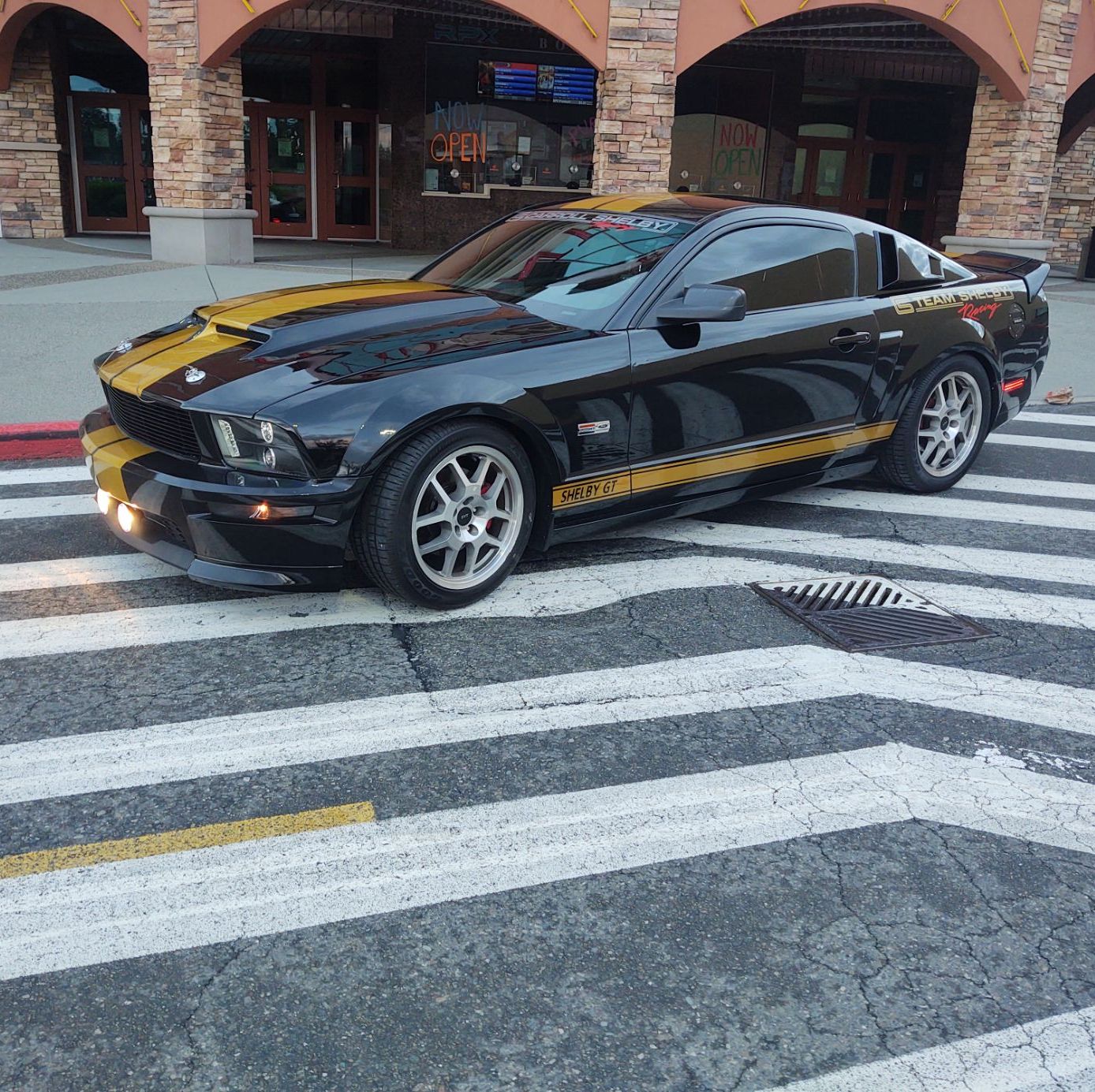 Profile of Phil Westberg