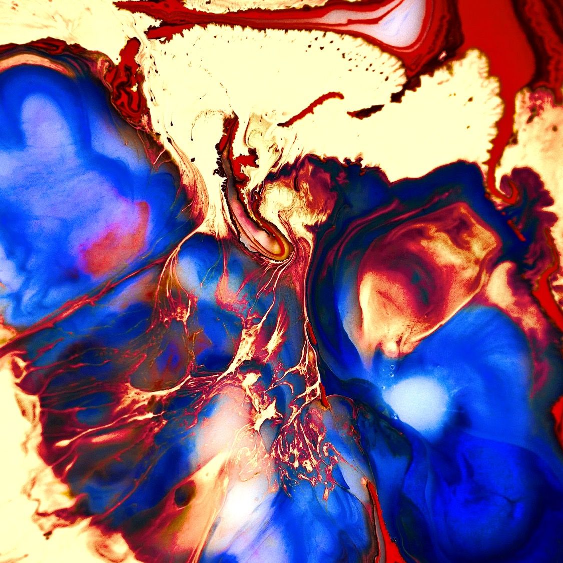 Profile of Alex Srib