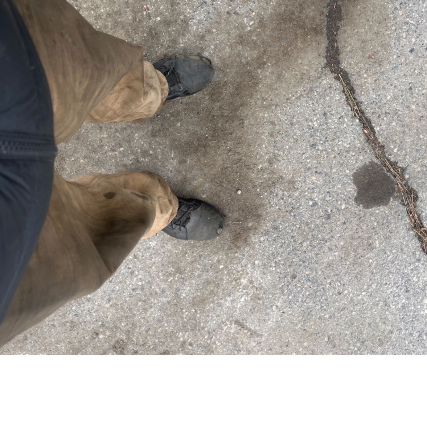 Profile of Will Hein