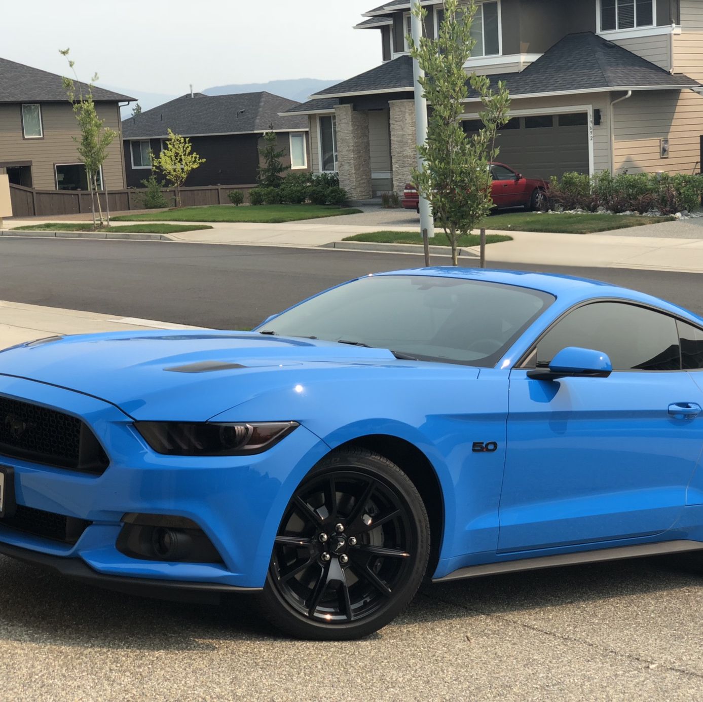 Profile of Chantelle Chase