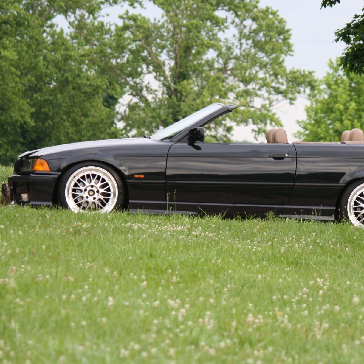 Profile of Noah Santimays