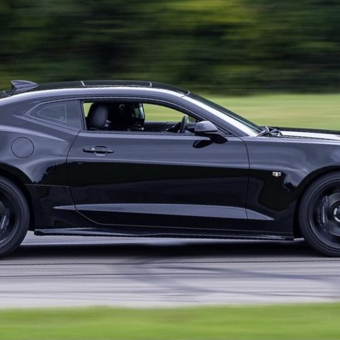 Profile of Todd Fridline