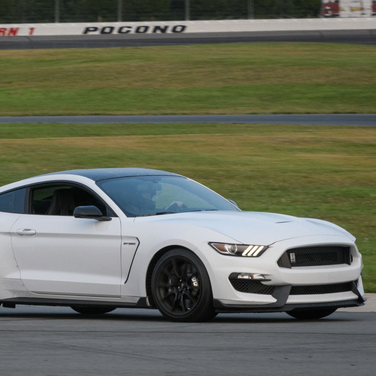 Profile of Timothy OShea