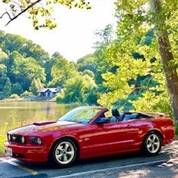 Profile of Elizabeth P