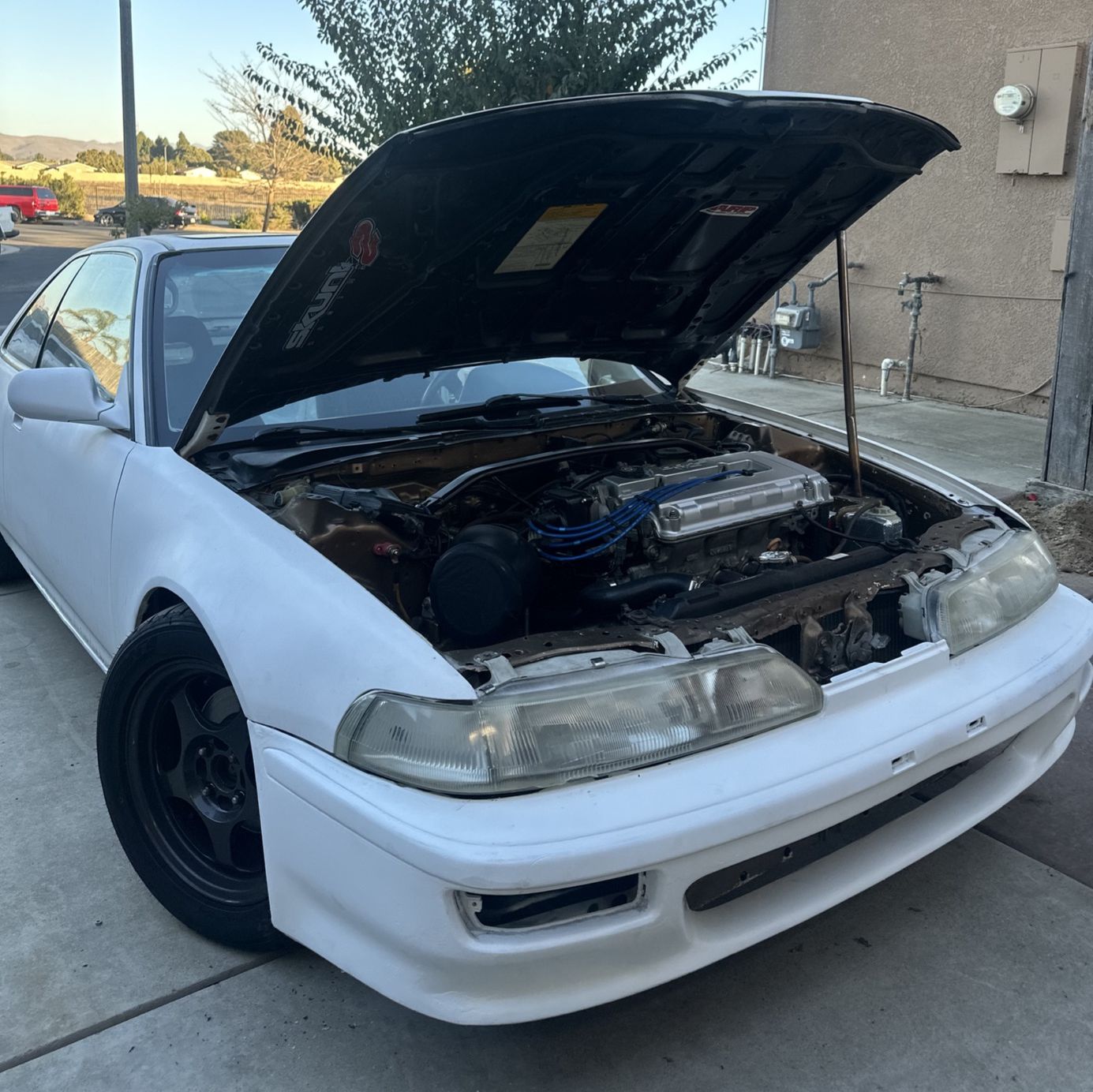 Profile of Joseph Castanon