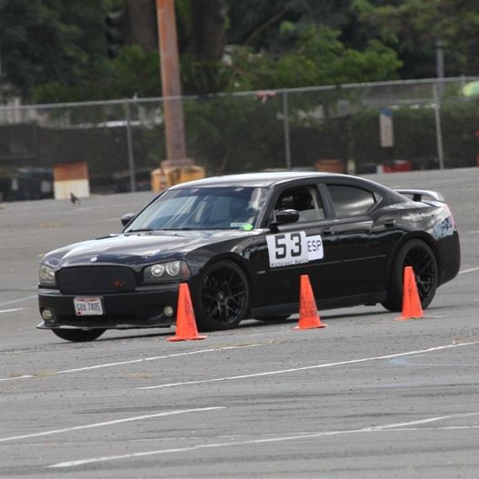 Profile of Nicholas Martin