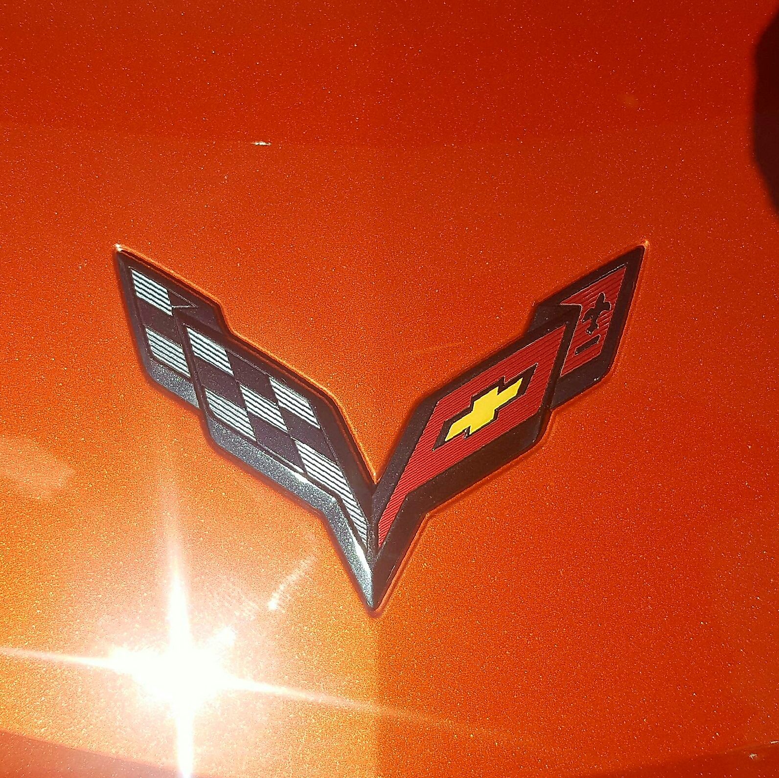 Profile of Robert May