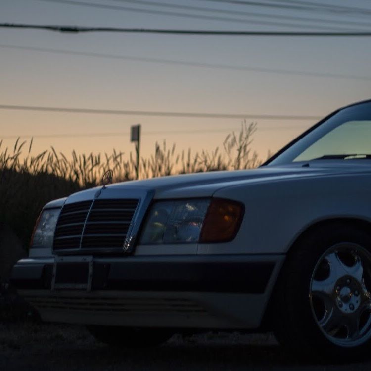 Profile of Alex Cherepakha