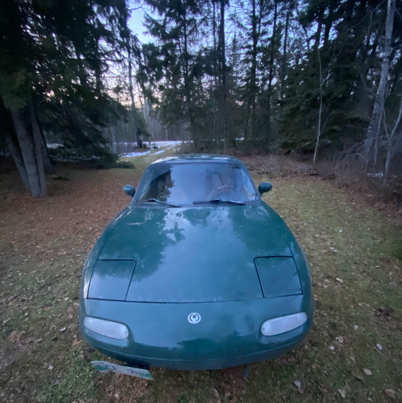 Profile of Griffin Karman