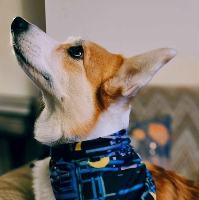 Profile of Gwendolyn Zak