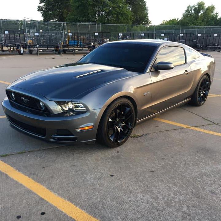 Profile of Trent Boyd