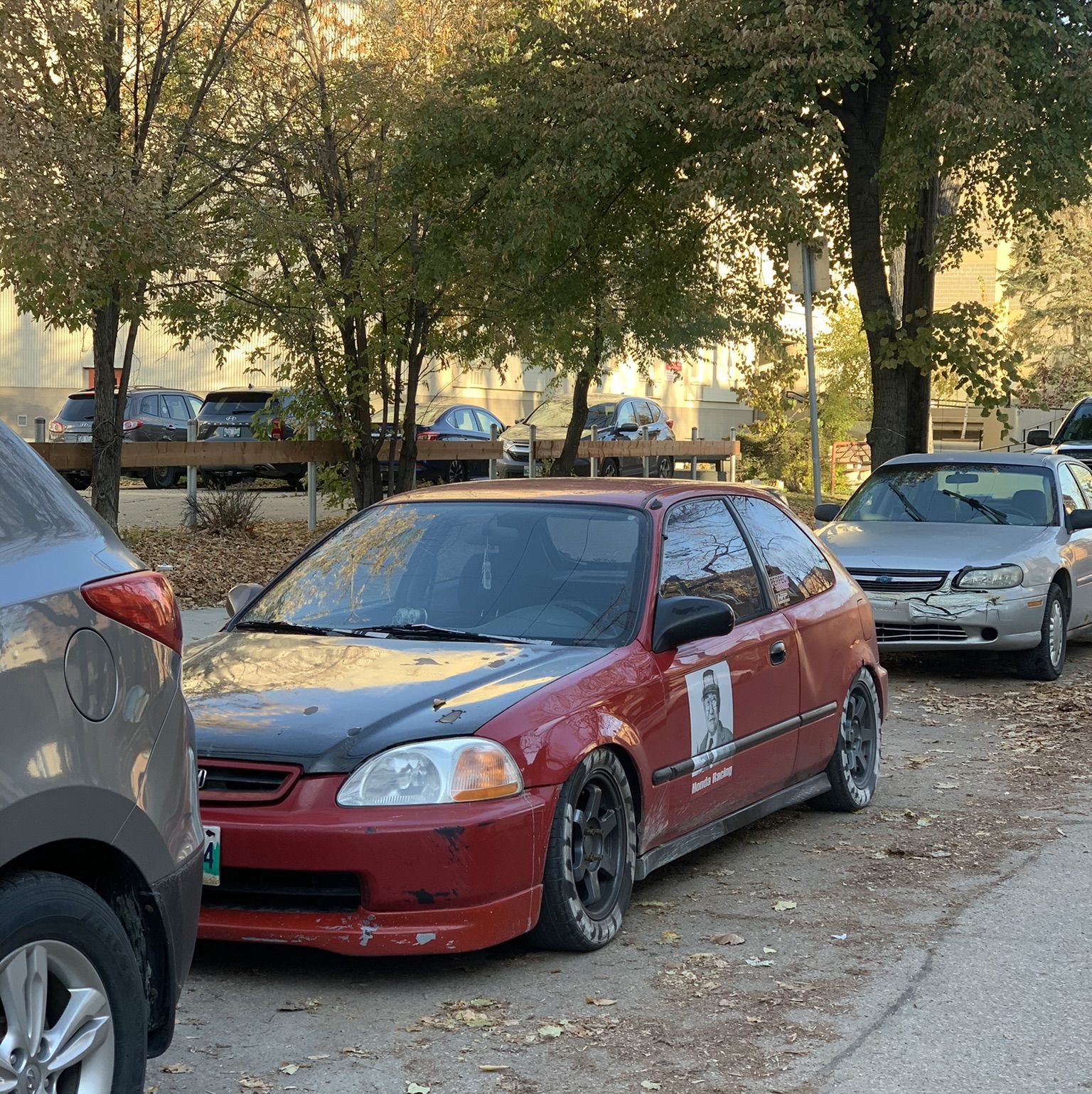 Profile of Dane Demarco