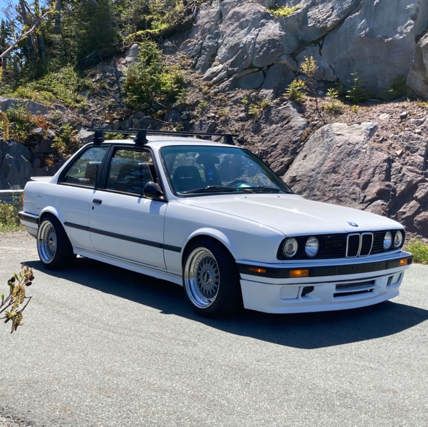 Profile of Gerard Millar