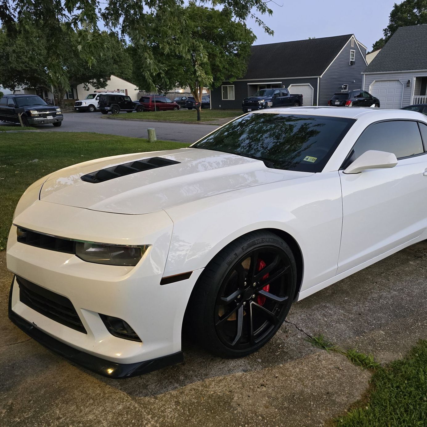 Profile of Kahla Picon