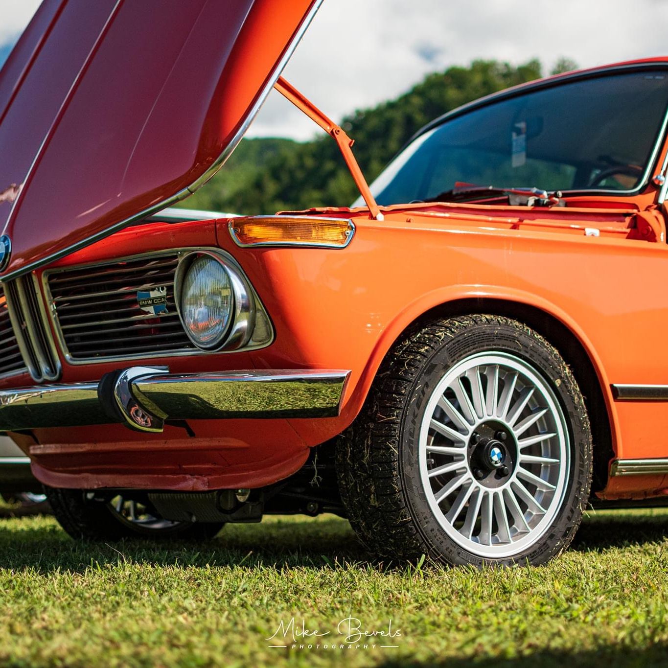 Profile of Brad Mills