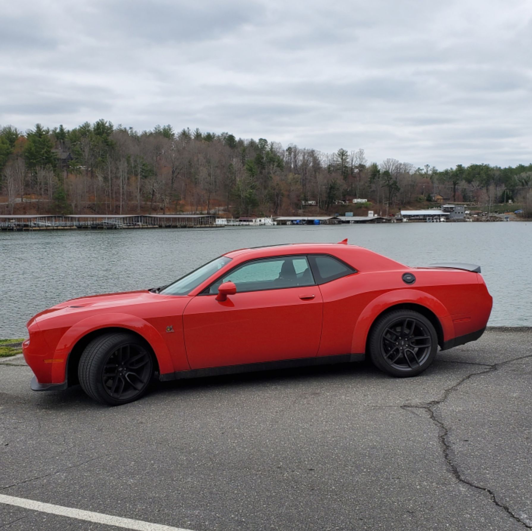 Profile of Robert Lawson