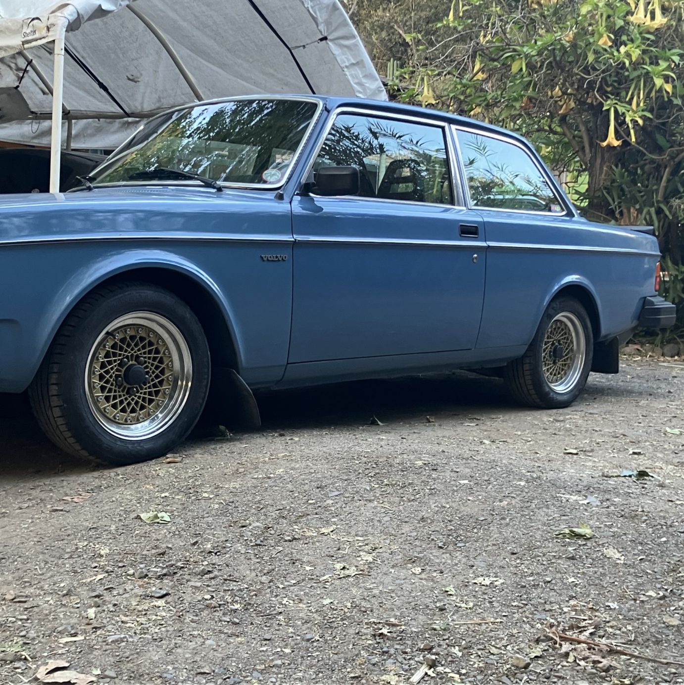 Profile of Terrance Wynn