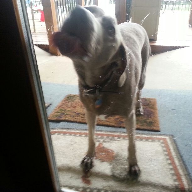 Profile of Katie Nelson