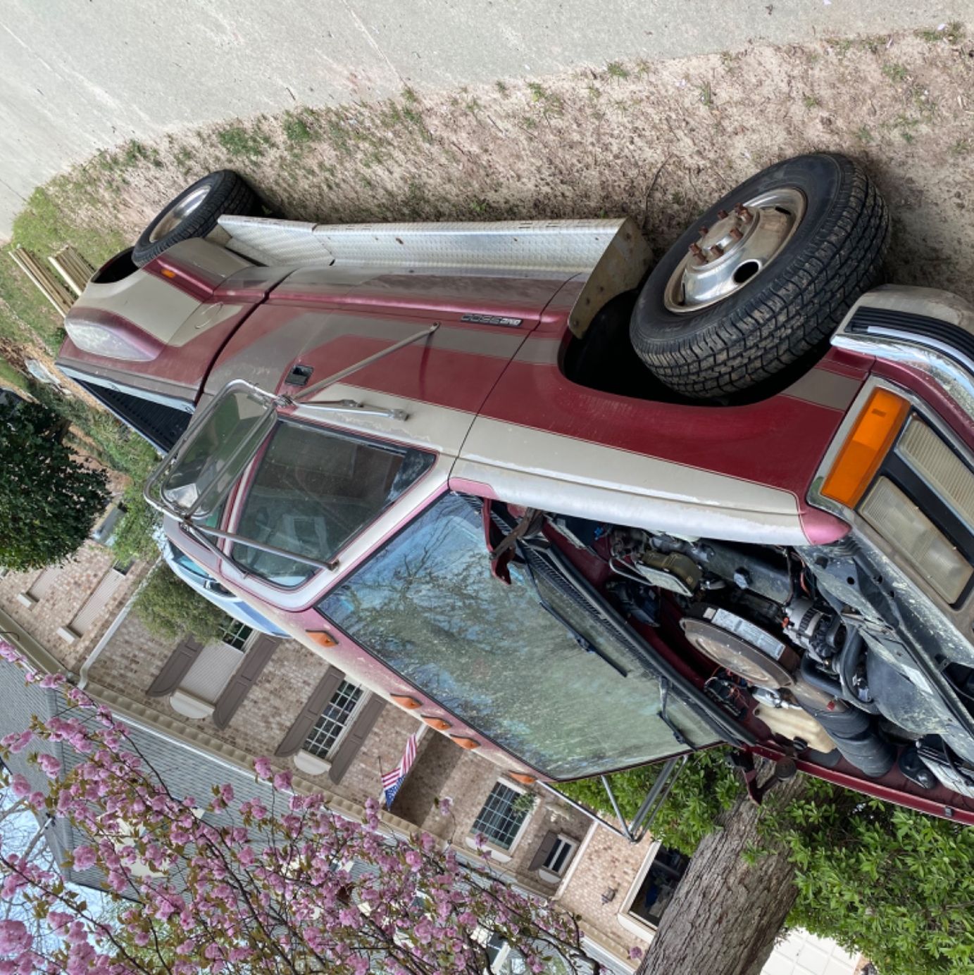 Profile of Chris Williams