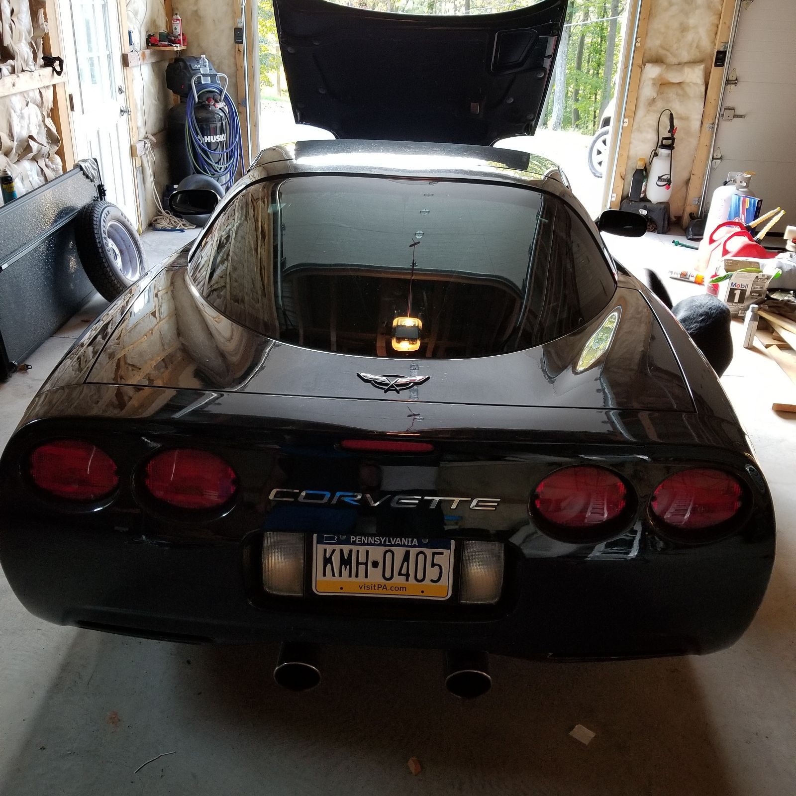 Profile of Steven Moore