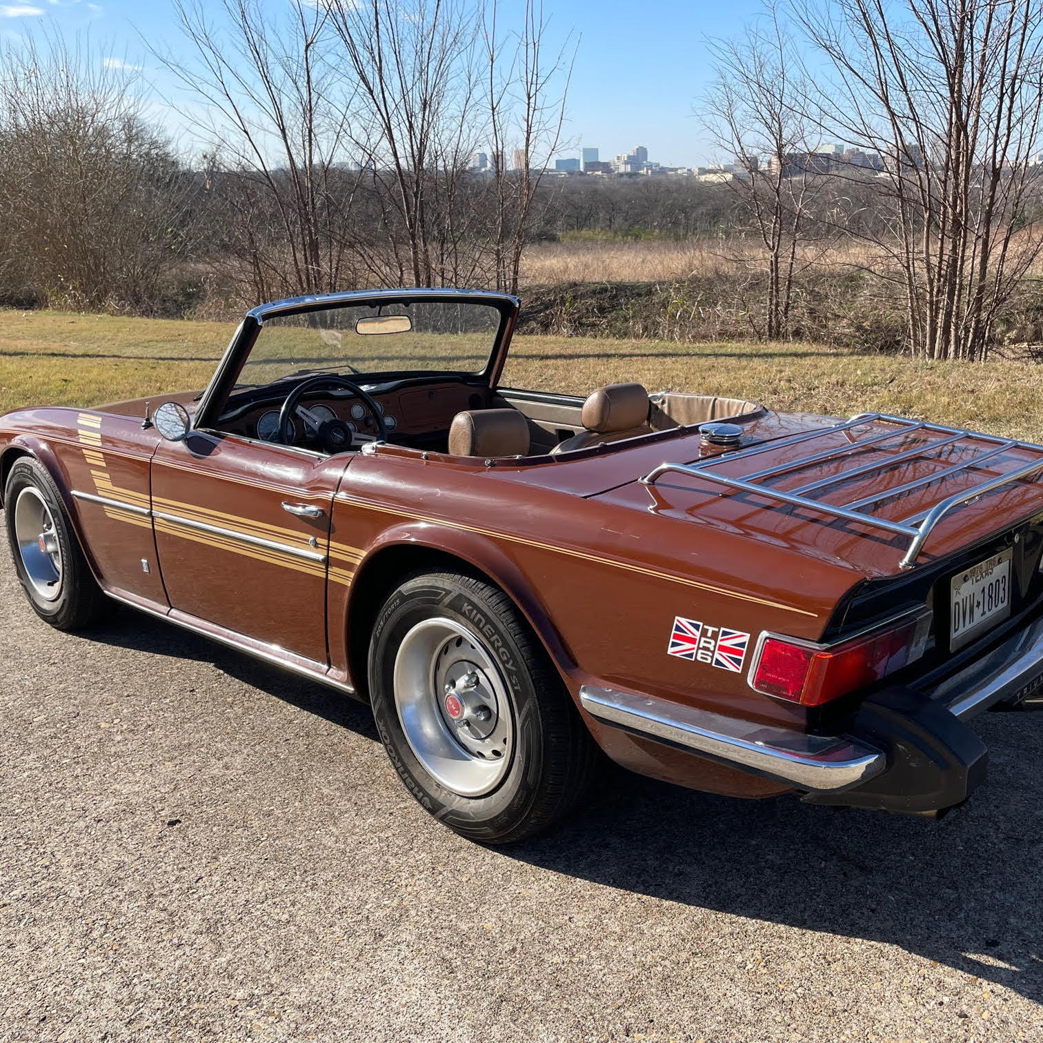 Profile of Steve Salis