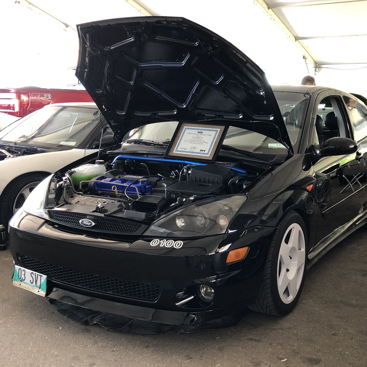 Profile of Aaron Safioles