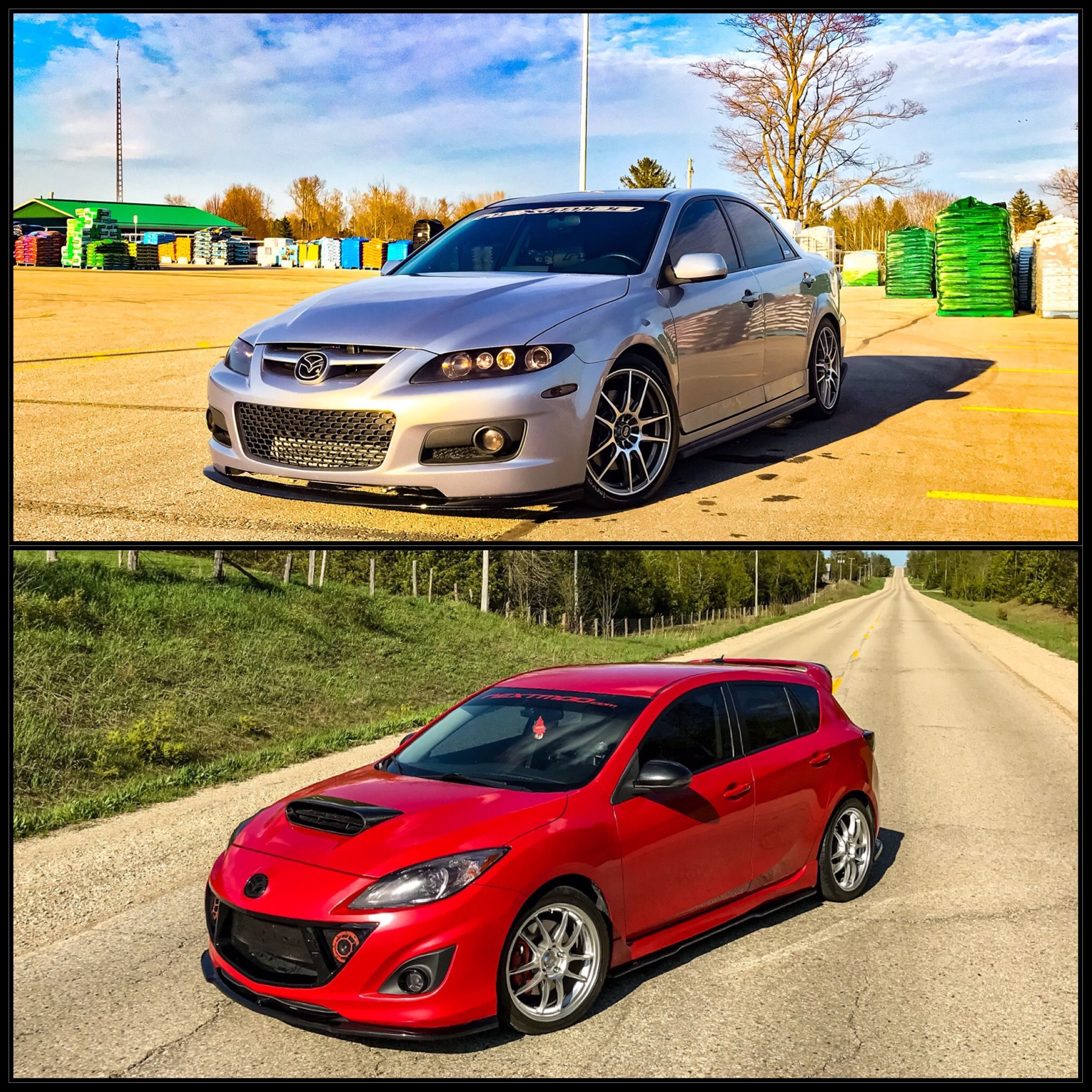 Profile of Dan Poirier