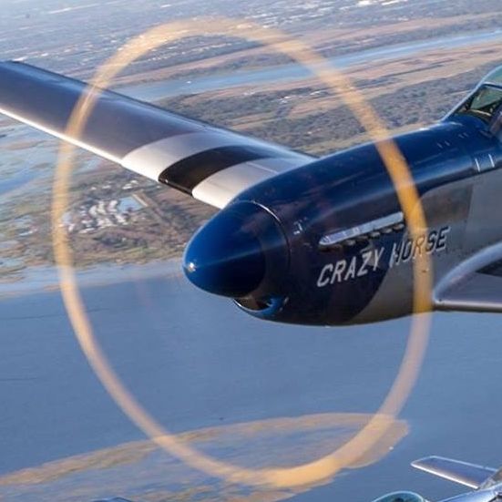 Profile of Paul McDonald